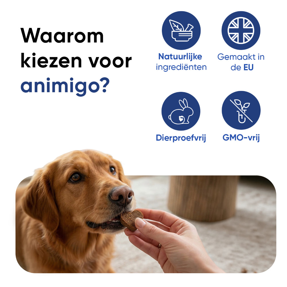 Multivitamine met mineralen voor honden, 120 zachte kauwtabletten