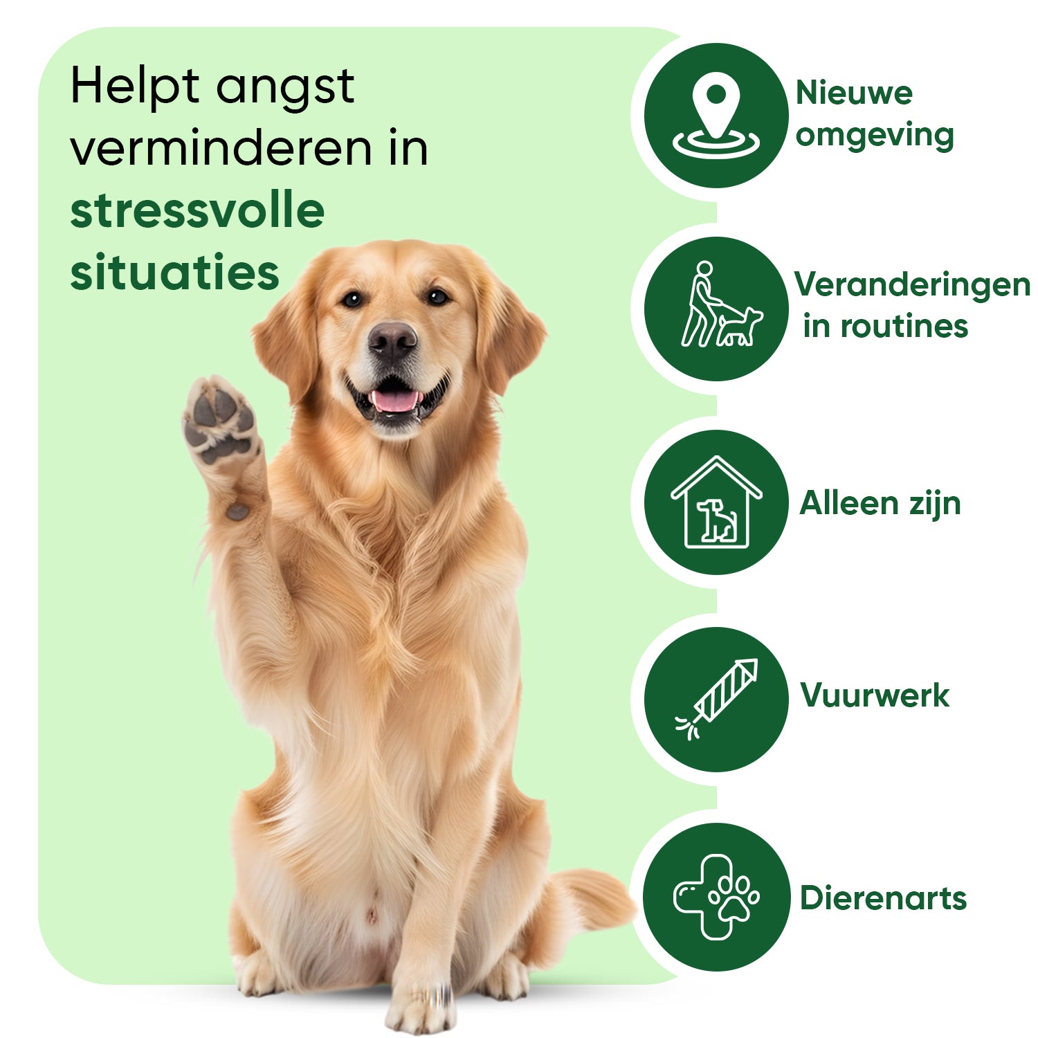 Kalmerende Kauwsnacks voor Honden