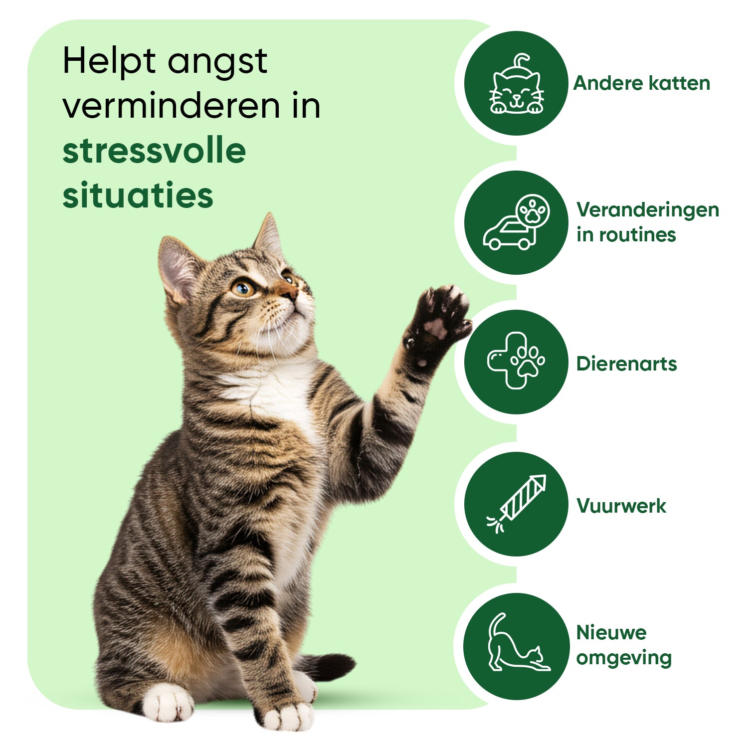 Animigo Kalmerende Druppels voor Katten 100 ml
