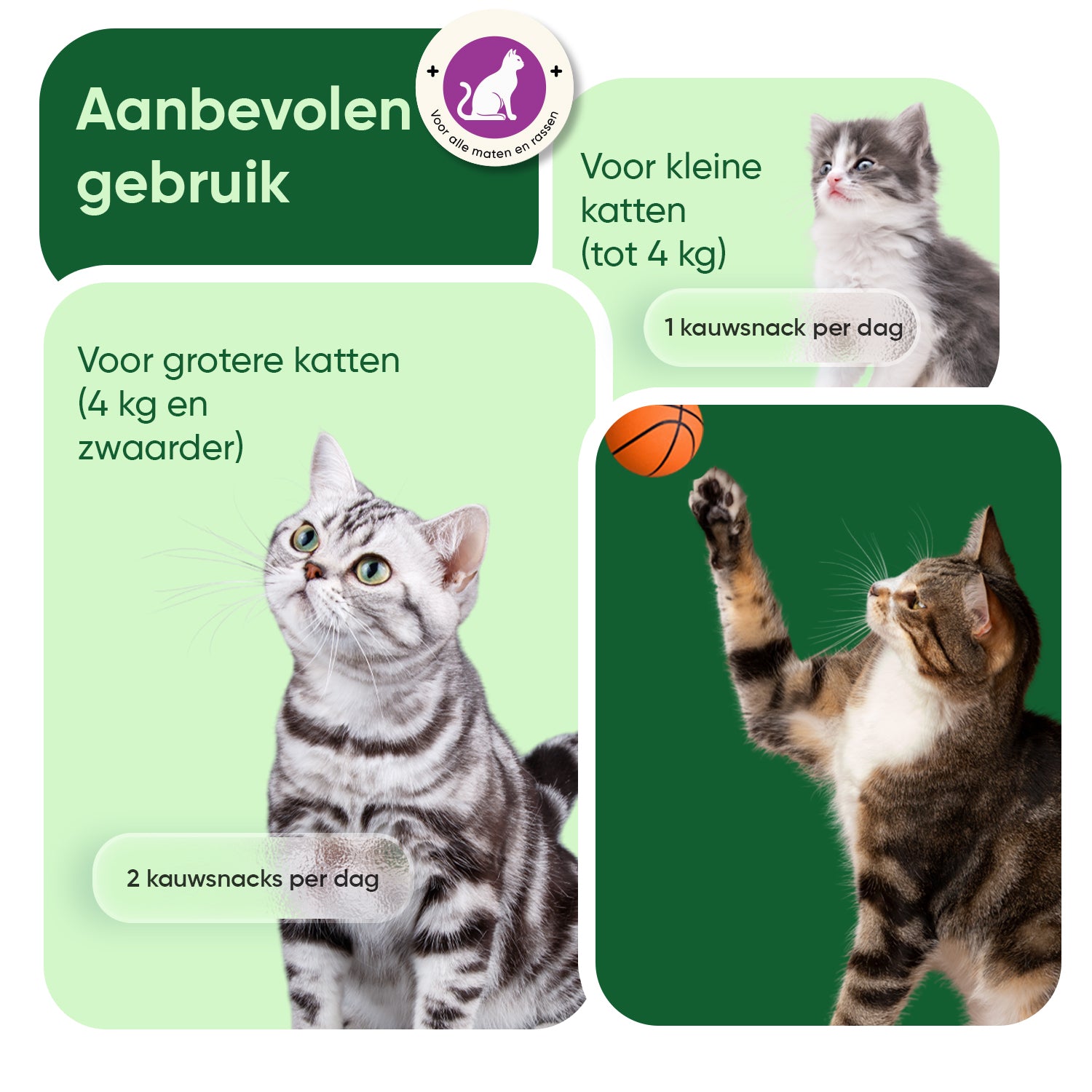 Animigo Kalmerende Druppels voor Katten 100 ml