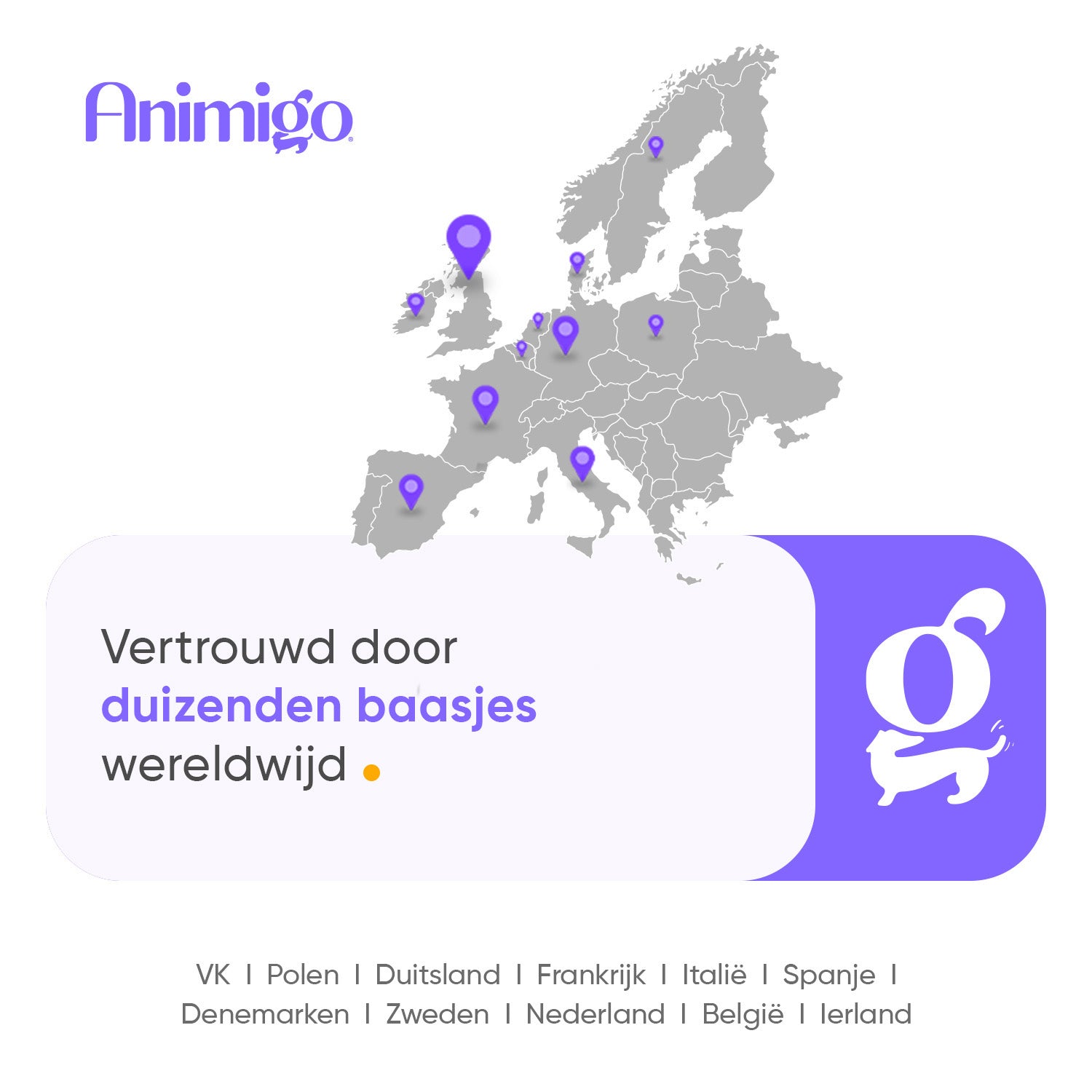 Animigo Kalmerende Druppels voor Katten 100 ml