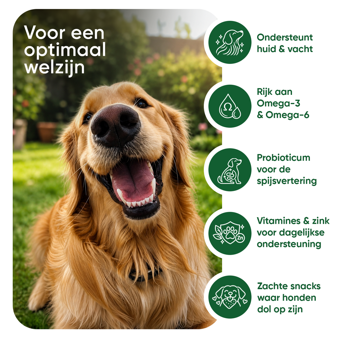 Anti-jeuk kauwsnacks voor honden met probiotica - 120 stuks