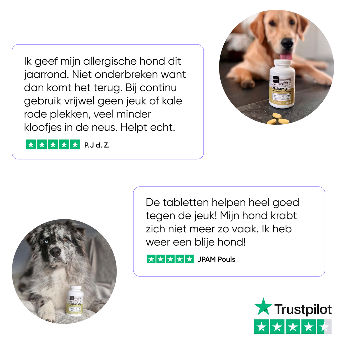 Anti allergie voor honden