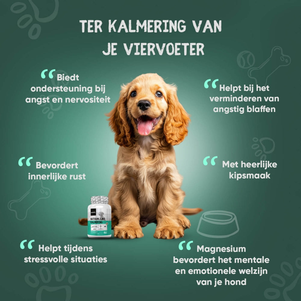 PAWIVID Angstjas voor Honden, Kalmerende Oorbedekking voor Donder en Vuurwerk, Verstelbaar Kalmerend Vest voor Huisdieren met Reflecterende Strepen, Rolkraag Stressverlichtende Jas (Leger Groen, L PAWIVID Angstjas voor Honden, Kalmerende Oorbedekking voor Donder en Vuurwerk, Verstelbaar Kalmerend Vest voor Huisdieren met Reflecterende Strepen, Rolkraag Stressverlichtende Jas (Leger Groen, L