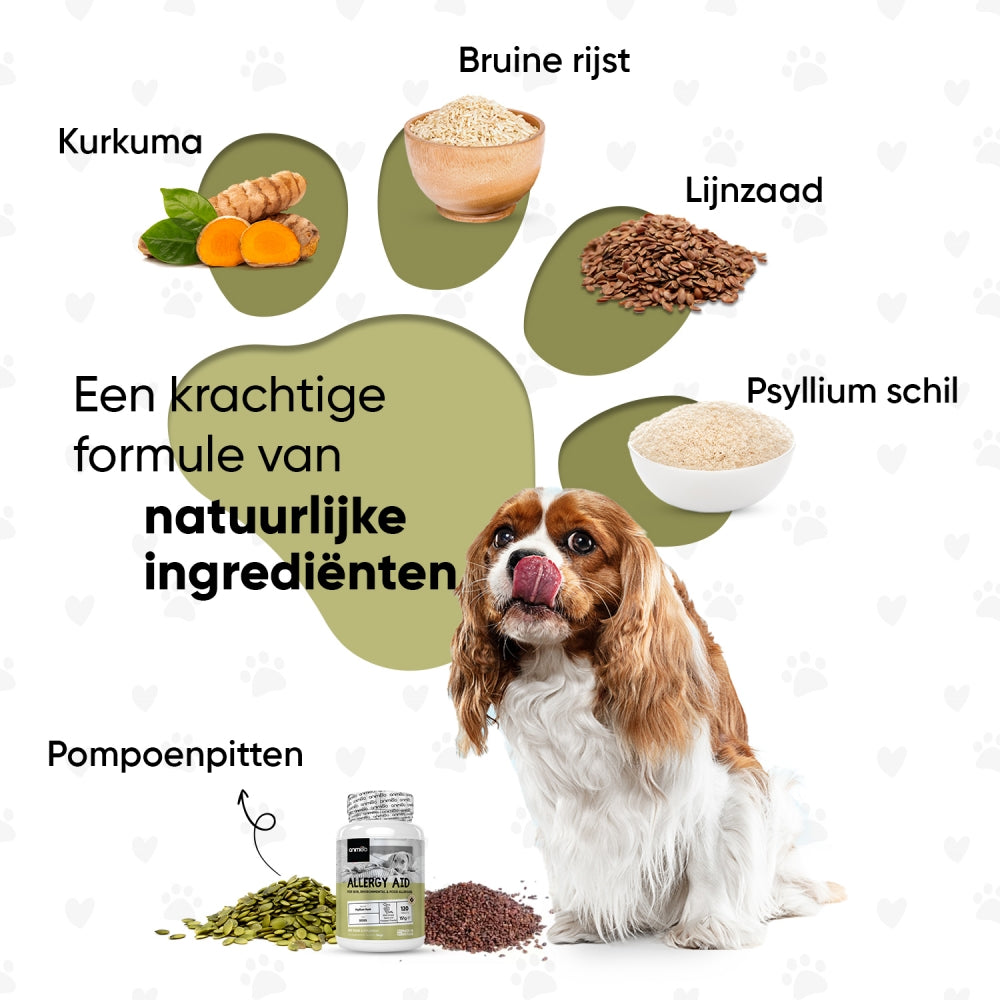 animigo-nl-allergy-aid-tabs-06