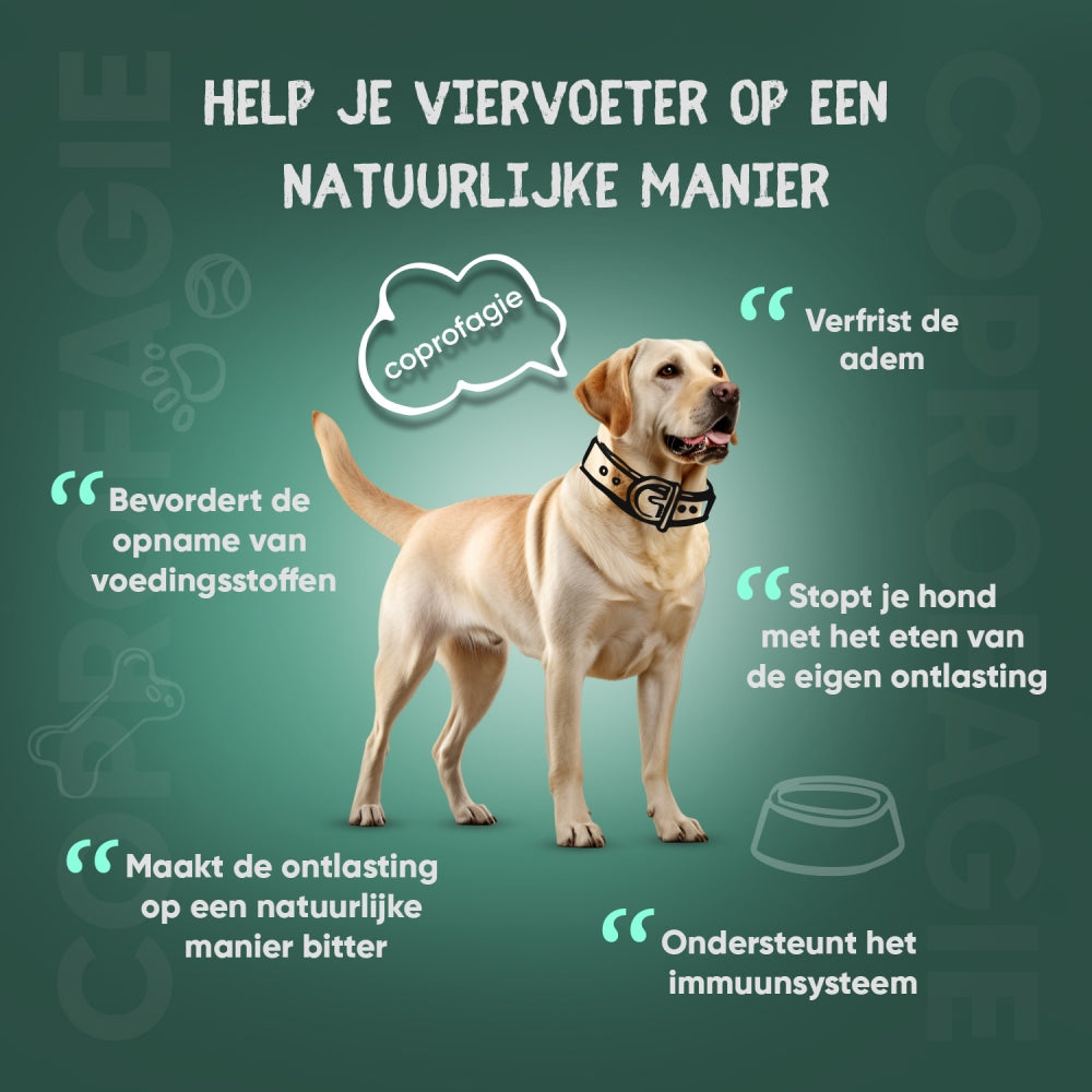 animigo-nl-coprophagia-tablet-02