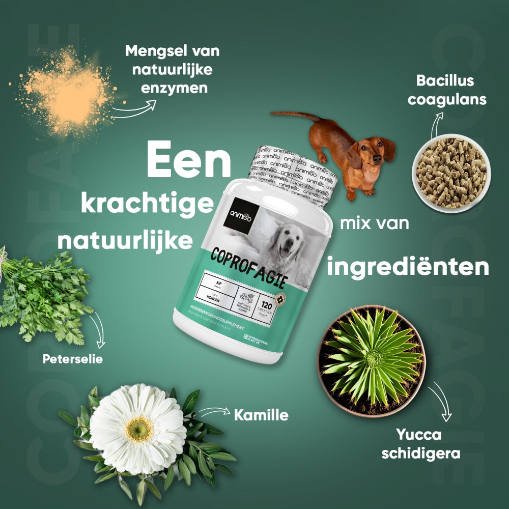 animigo-nl-coprophagia-tablet-03