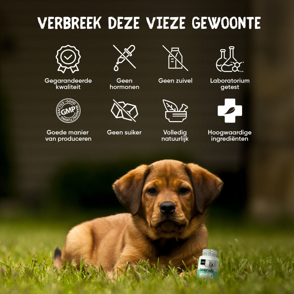 animigo-nl-coprophagia-tablet-05