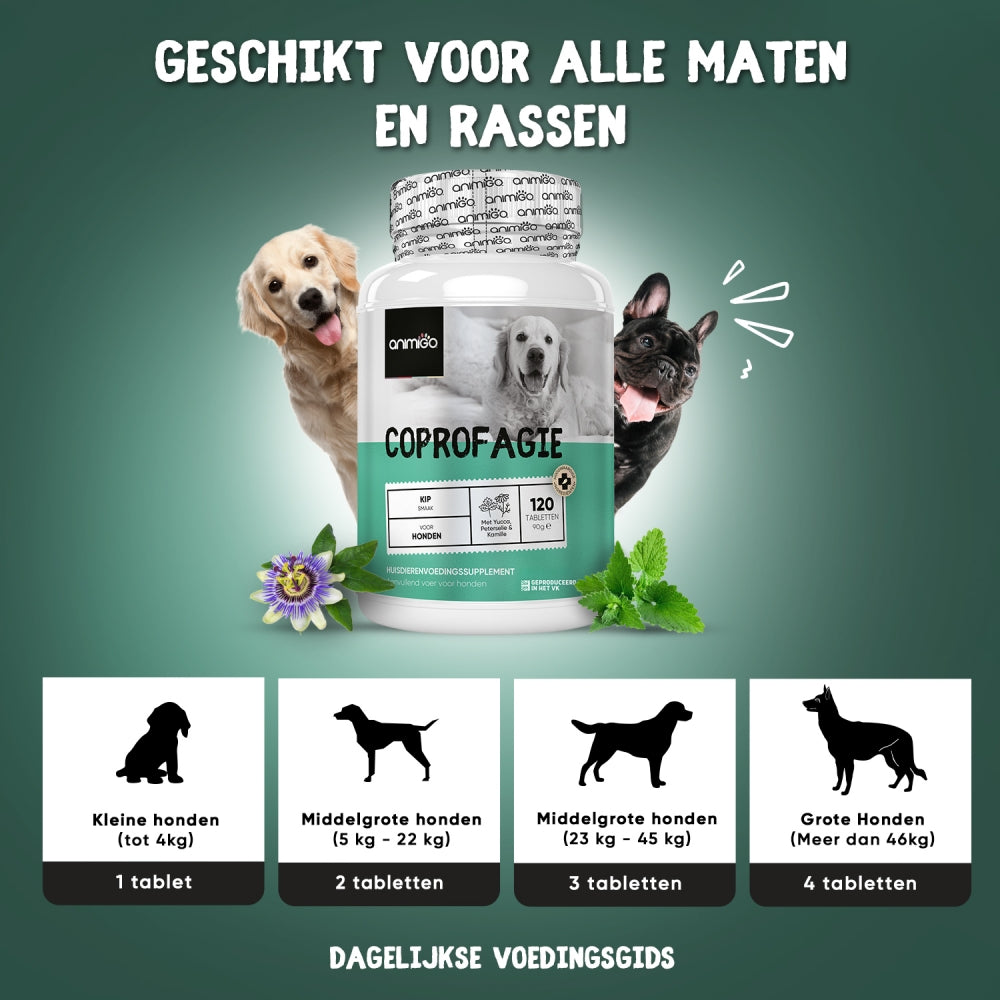 AmeizPet Stop Met Het Eten Van Poep Zachte Traktaties Voor Honden, Anti Coprofagie Voor Honden Met Spijsverteringsenzymen, Voor Darmwelzijn, 120 Traktaties, 270g (9.5 Oz AmeizPet Stop Met Het Eten Van Poep Zachte Traktaties Voor Honden, Anti Coprofagie Voor Honden Met Spijsverteringsenzymen, Voor Darmwelzijn, 120 Traktaties, 270g (9.5 Oz