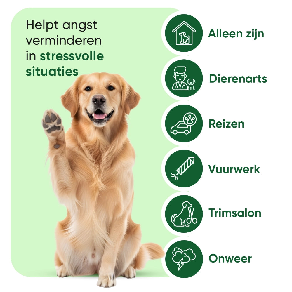 animigo-nl-hemp-oil-60ml-for-dogs-liquid-bottle-03