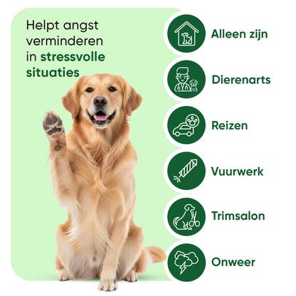 animigo-nl-hemp-oil-60ml-for-dogs-liquid-bottle-03