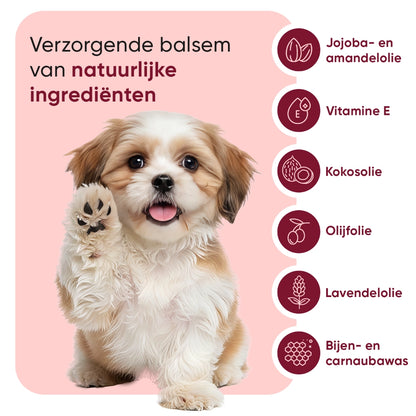 animigo-nl-paw-and-nose-for-dogs-balm-03