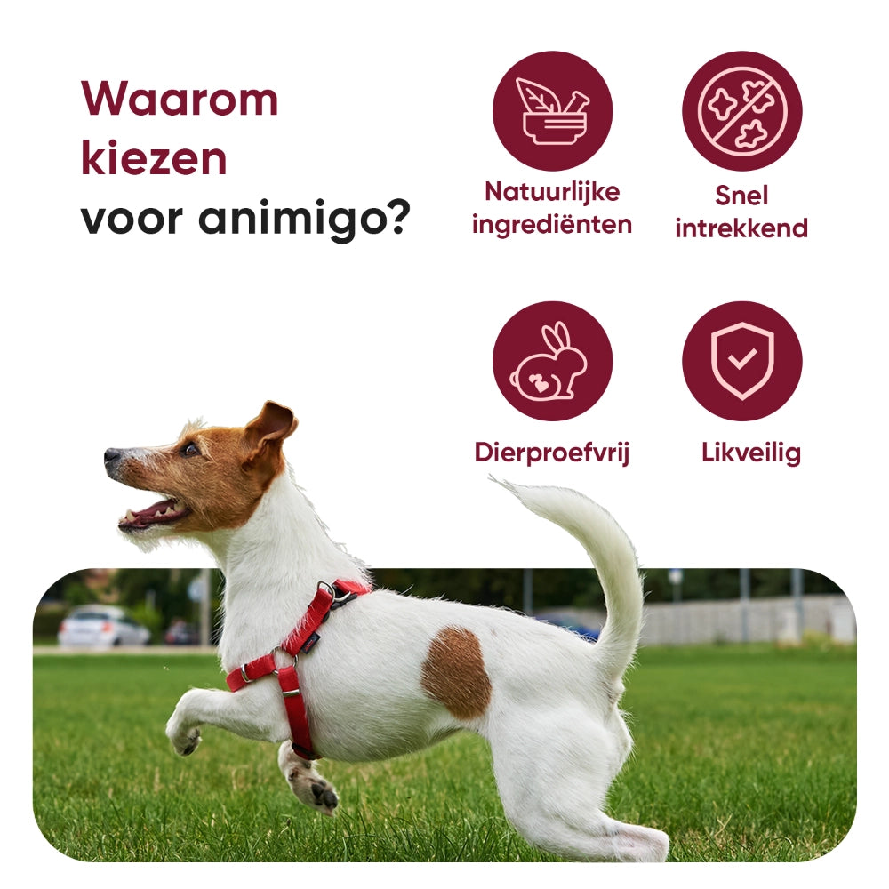 animigo-nl-paw-and-nose-for-dogs-balm-04