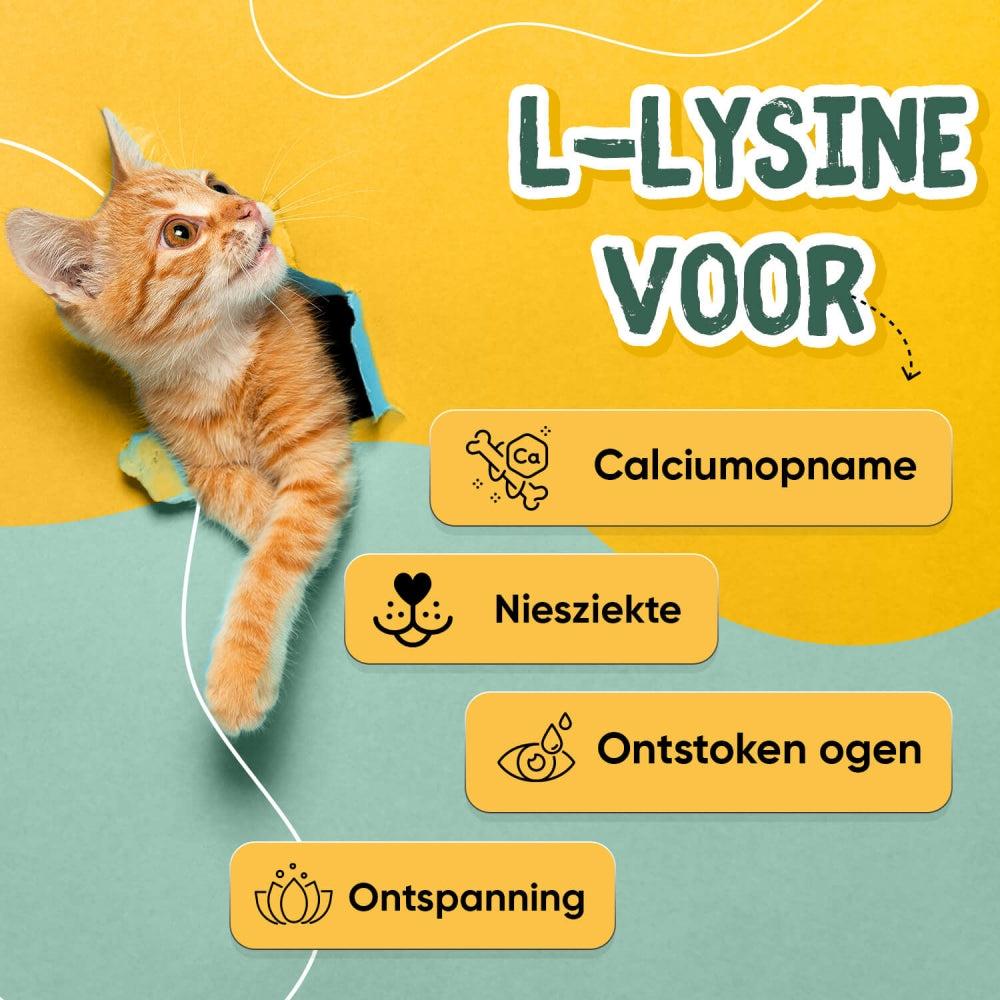 animigol-lysine-powder-nl-03