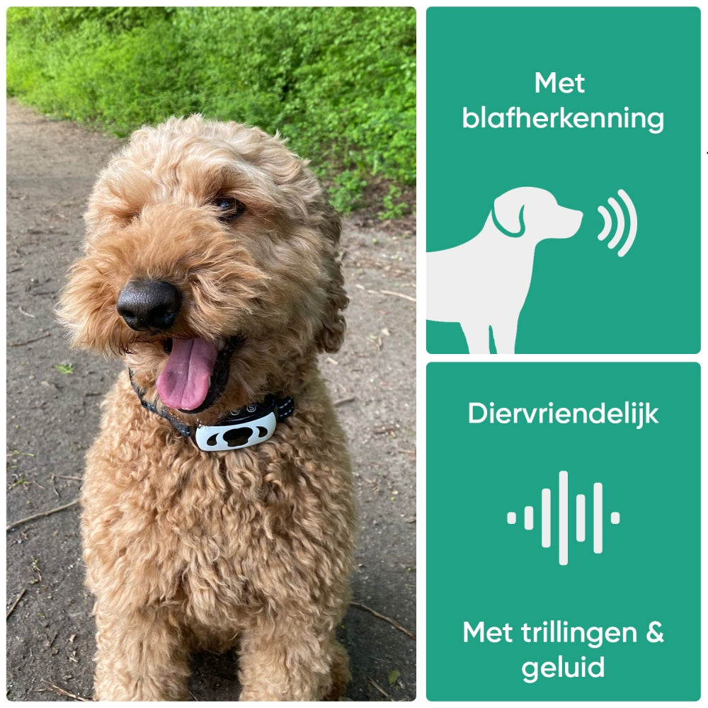 anti-bark-nl-03