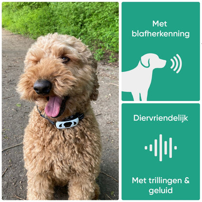 anti-bark-nl-03.jpg