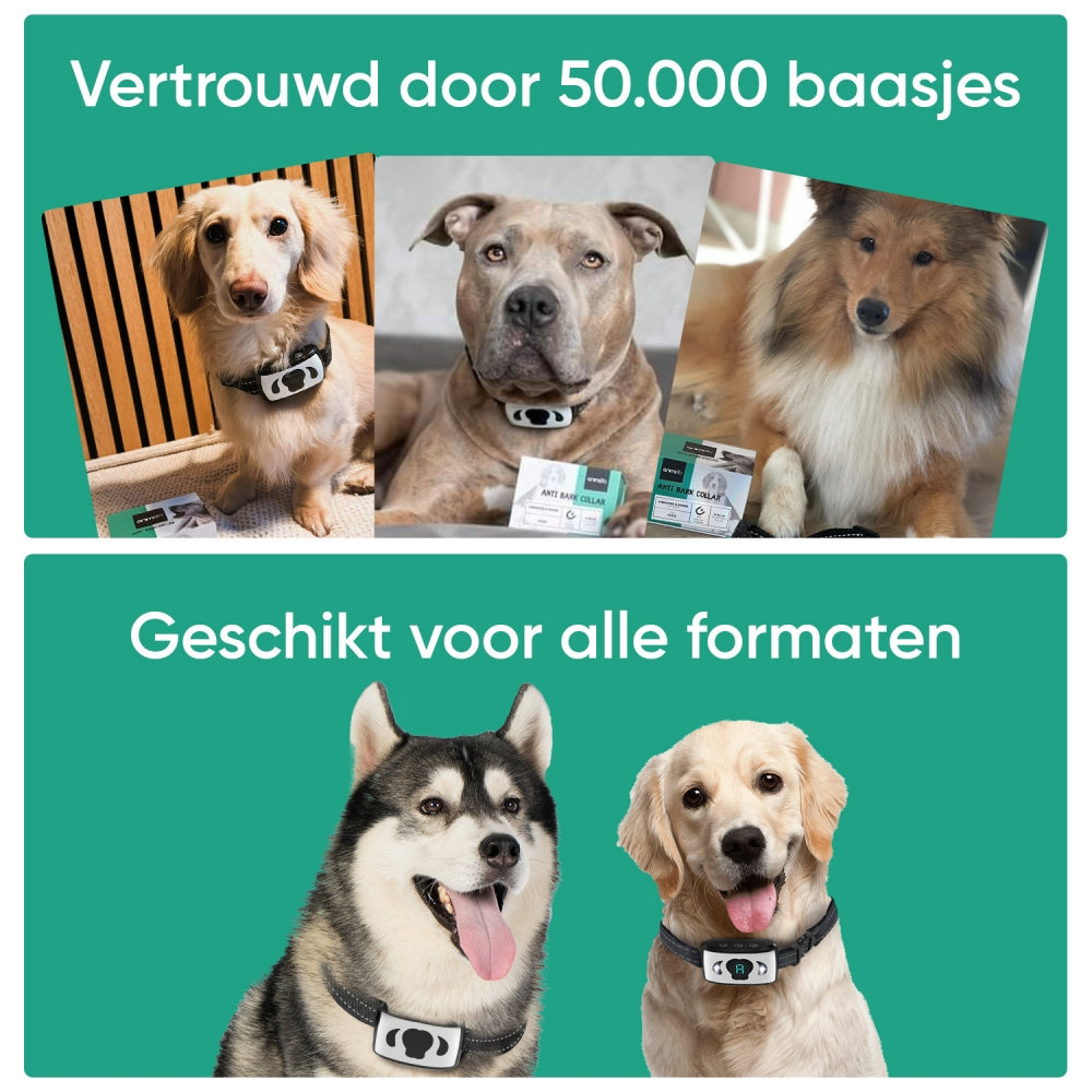 anti-bark-nl-04