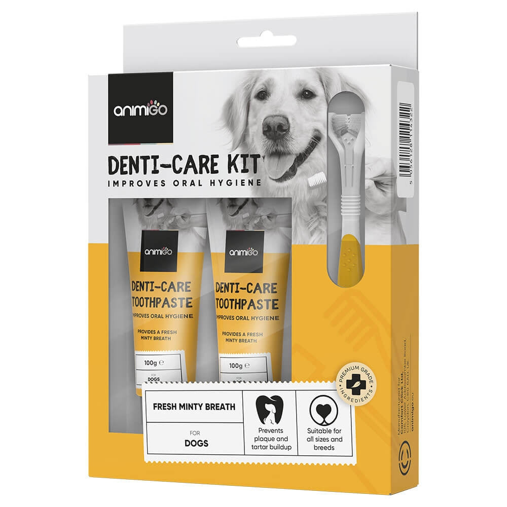 denti-care-kit-toothpaste-box