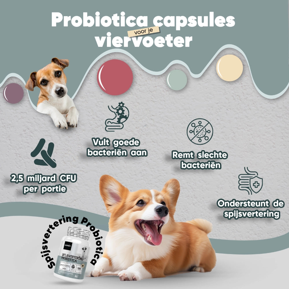 digestive-probiotics-for-dogs-nl-bottle-01