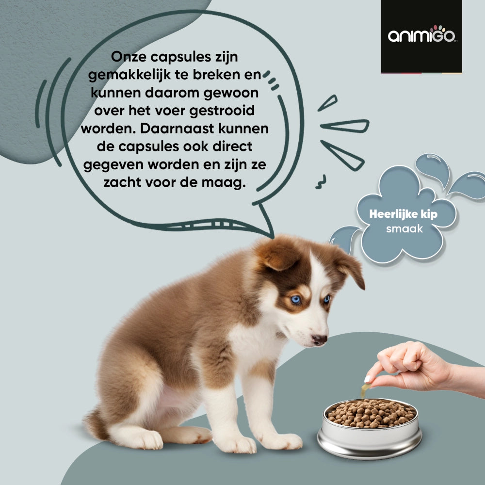 digestive-probiotics-for-dogs-nl-bottle-02