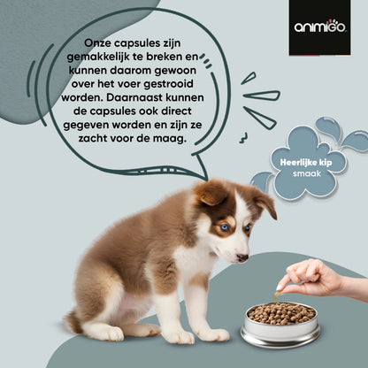 digestive-probiotics-for-dogs-nl-bottle-02