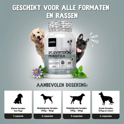 digestive-probiotics-for-dogs-nl-bottle-03