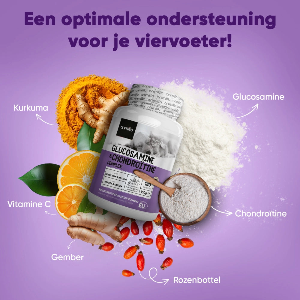 glucosamine-chondroitin-complex-nl-2