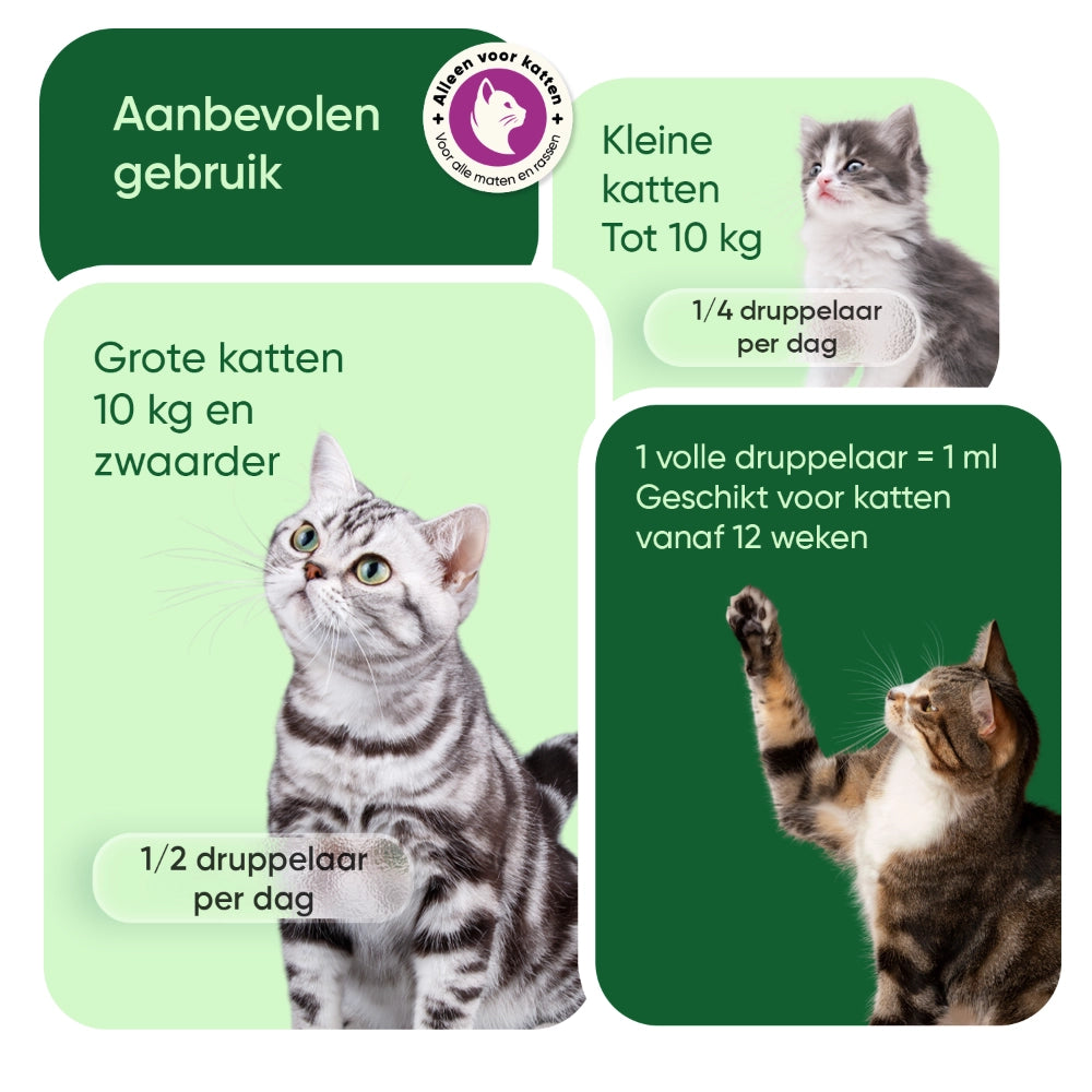 hemp-oil-nl-bottles-03