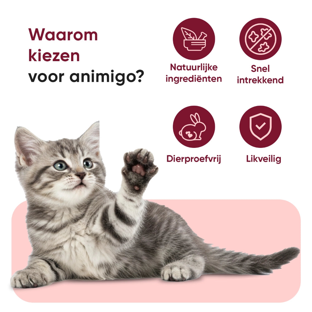 pets-paw-and-nose-for-cats-4