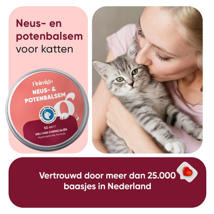 pets-paw-and-nose-for-cats-5